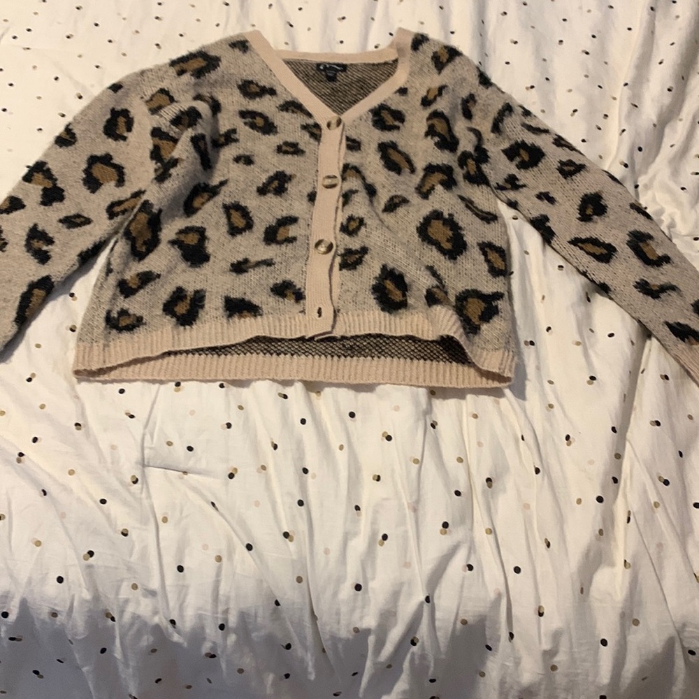 Cheetah print sweater